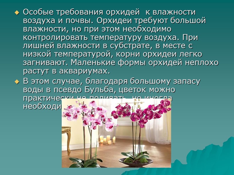 Особые требования орхидей к влажности воздуха и почвы. Орхидеи требуют большой влажности, но Особые требования орхидей к влажности воздуха и почвы. Орхидеи требуют большой влажности, но